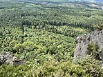 IMG_3262