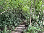 IMG_3322