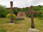 IMG_20220708_103120.jpg
