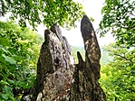 IMG_20220709_134809.jpg