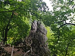 IMG_20220709_135606.jpg