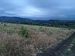 IMG_20220706_050202