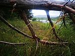 IMG_20220706_055154