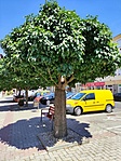 IMG_20220720_115410