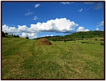 Hatalmas mezőn