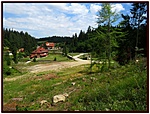 Ezt látja a ládikó - mikor valaki kiveszi a fatönkből :)