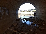 IMG_20220729_062059