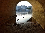 IMG_20220729_062054