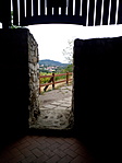 IMG_20220731_151917
