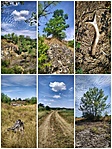 IMG_20220729_143752