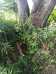 20220715_170525[1]