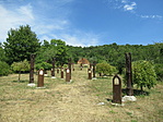 IMG_0437