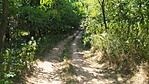 IMG_20220722_153856