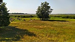 IMG_20220722_161801