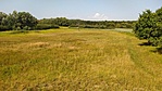 IMG_20220722_161801_1