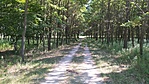 IMG_20220722_161832