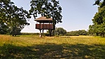 IMG_20220722_161836