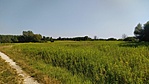 IMG_20220722_162413