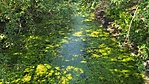 IMG_20220722_162920