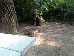 IMG_20220730_144834