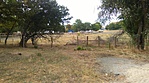 IMAG1740