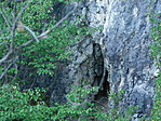 DSCN4331