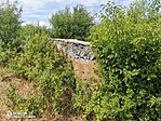 IMG_20220708_145056
