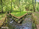 IMG_20220716_134147
