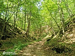 IMG_20220716_142919