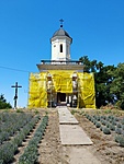 IMG_20220720_123652