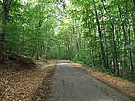 P7246096