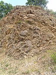 P7246102
