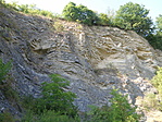 P7246111