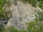 P7246112