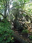 P7276294
