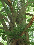 P7276297