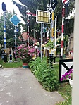 IMG_20220707_105953