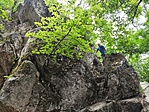 IMG_20220712_160803