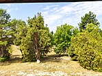 IMG_20220728_102048