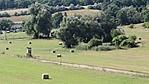 IMG_8593