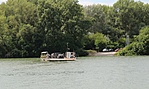 IMG_8823 - Tiszacsege