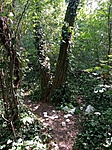 geoláda