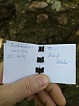 IMG_20220502_084553