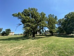 IMG_7014