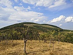 IMG_20220729_163730