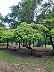 IMG-20220822-WA0068