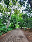 IMG-20220822-WA0070