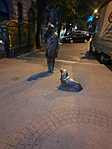 IMG-20220824-WA0102