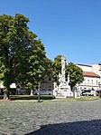 IMG-20220826-WA0009