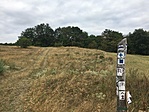 IMG_7066